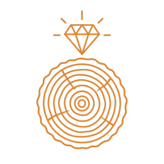 Premium Hardwood Care document icon